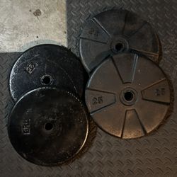 Four 25 Lb Standard Plates 