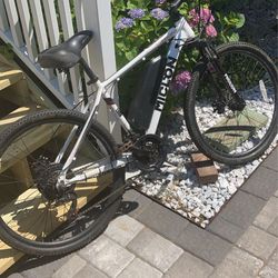 Melon e-bike 