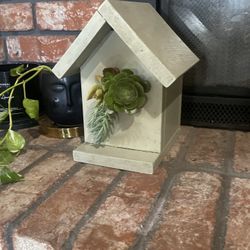 Succulent Bird House Decor