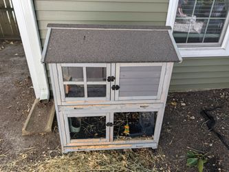 Rabbit/Small Pet Hutch
