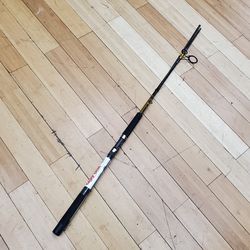 Ugly Stik 8.0ft Big Water Fishing Rod