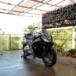 Honda CBR 600rr 2005