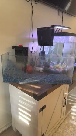 5 gallon fish tank