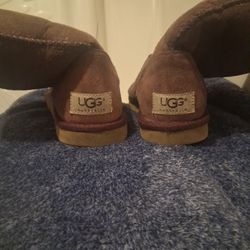 Short Purple Uggs