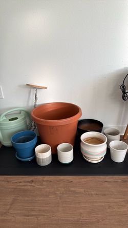 Free for Plants