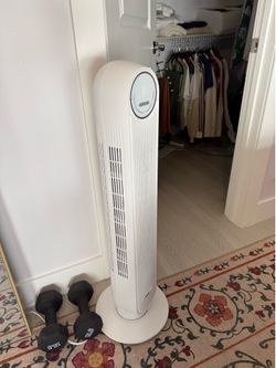 Fan