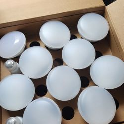 12 Daylight Ceiling Lights