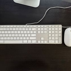 Imac Keyboard And Mouse
