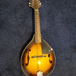 Johnson Mandolin 