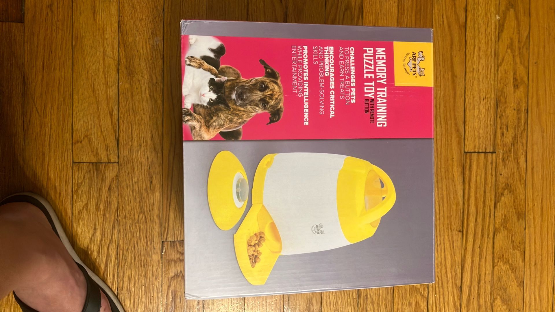 ARF PETS Memory Training Puzzle Toy