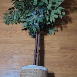 5ft Decore Tree 