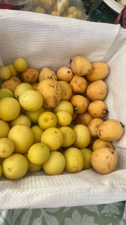 Free lemons and guayabas