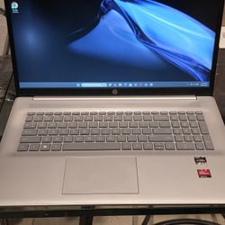 HP 17.3 Inch Ryzen laptop
