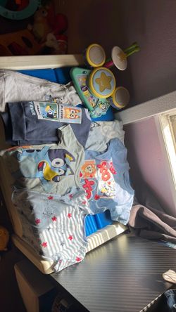 Bluey clothes 2T