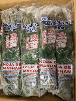 Hojas De Mashan