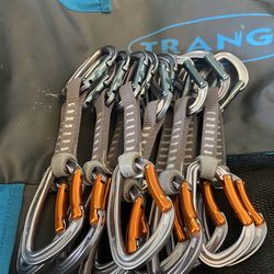 Black Diamond Quickdraws