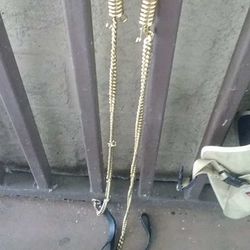 Dogs Chains
