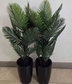 *** NEW LOW PRICE *** PAIR of 52" Faux Areca Palms in 16" Black Planters (2 for $100) @ Lasting Creations