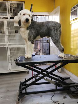 Deshedding