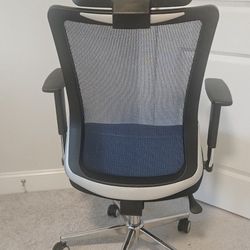 Ergonomic Office Chair