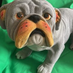 Life size Bulldog Piggyback/ Alcancias