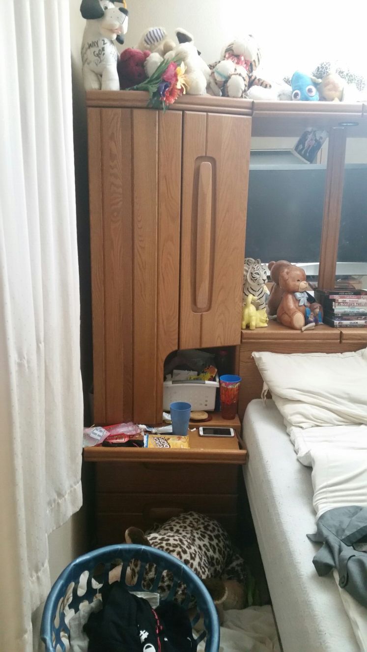 Bed frame accessory