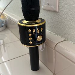 Wireless Bluetooth Karaoke Microphone