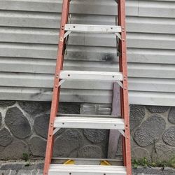 6 Foot Werner Ladder 