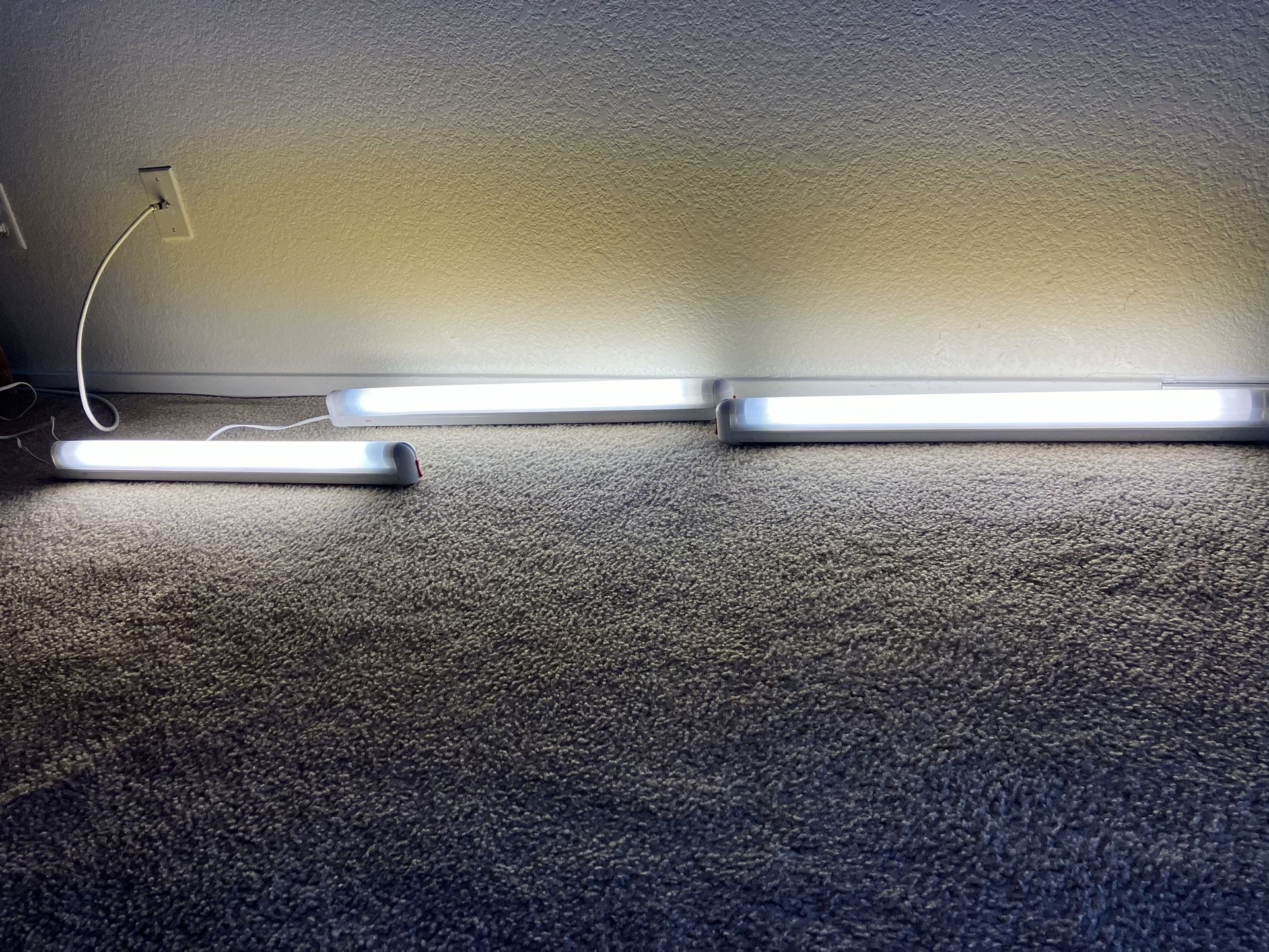 Home Lights