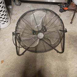 Fan