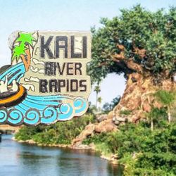 Vintage 2000s Disney Animal Kingdom Kali River Rapids Pin, 1.25x0.75”
