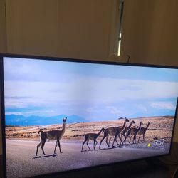 Television De 43” Smart TV -LCD/ USB/HDMI