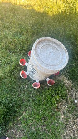 Chicken water feeder