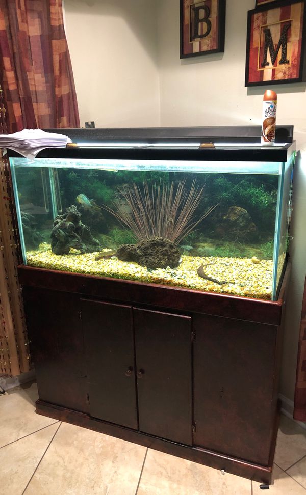 90 Gallon Fish Tank for sale for Sale in New Orleans, LA