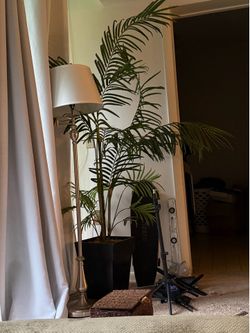 Fake plant and lamp