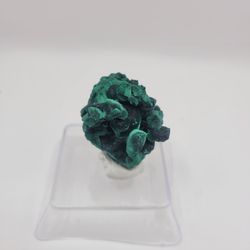 Velvet Malachite