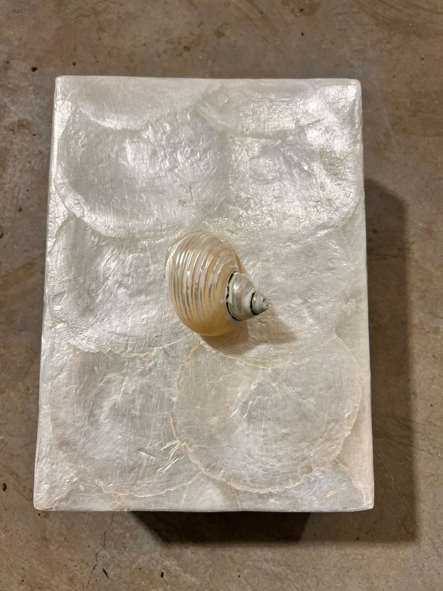 shell box