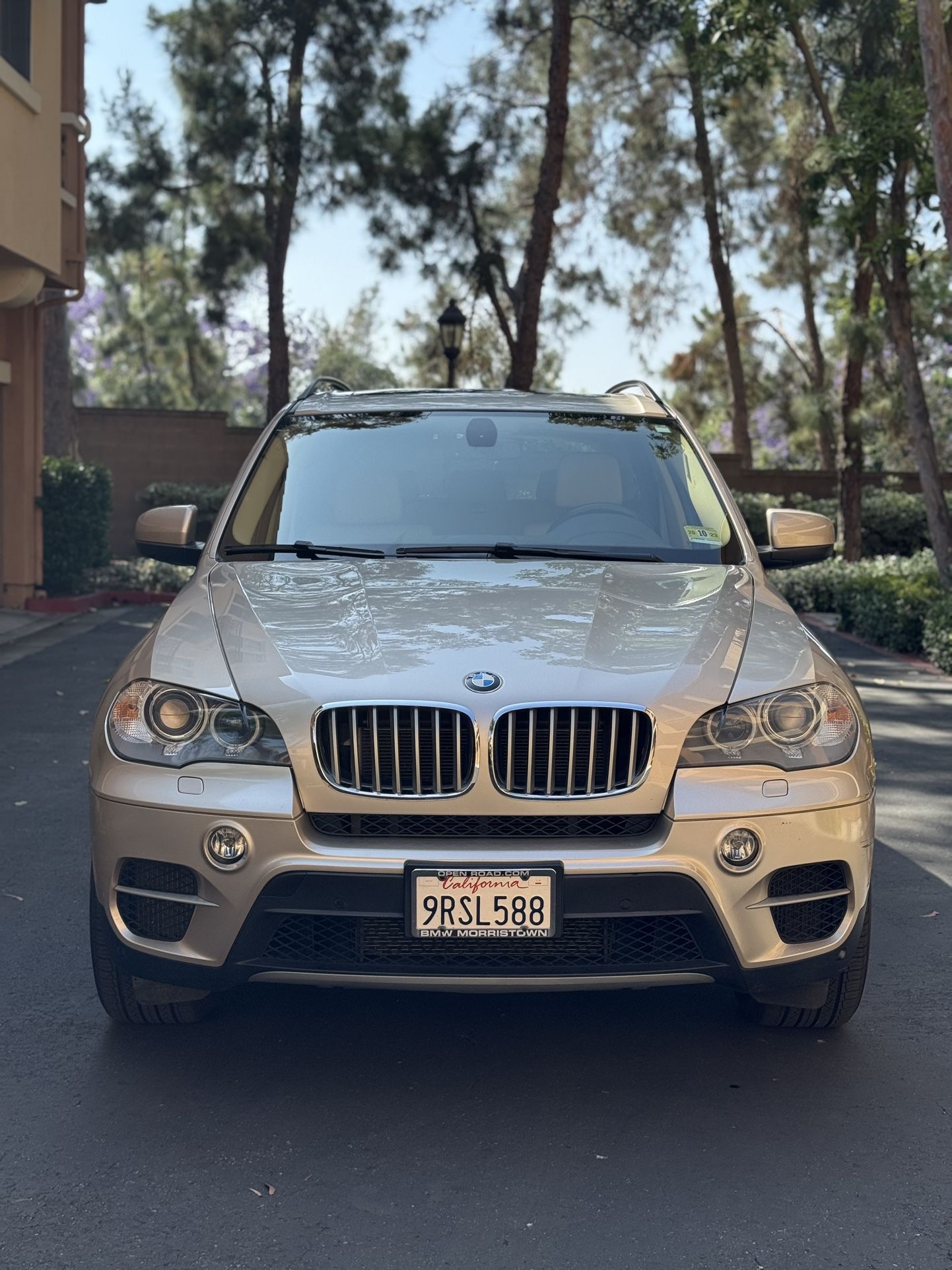 2013 BMW X5