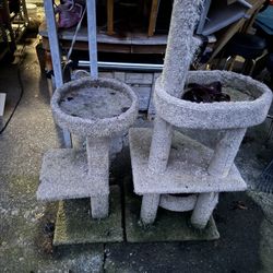 Free Cat Climbing Tree Scratch Thing