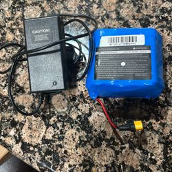 25V Hoverboard Battery Lipo 