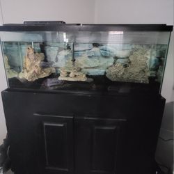 55 Gallon Fish Tank With Black Dual Cabinet & Filtering Unit