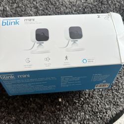 Blink Camera 