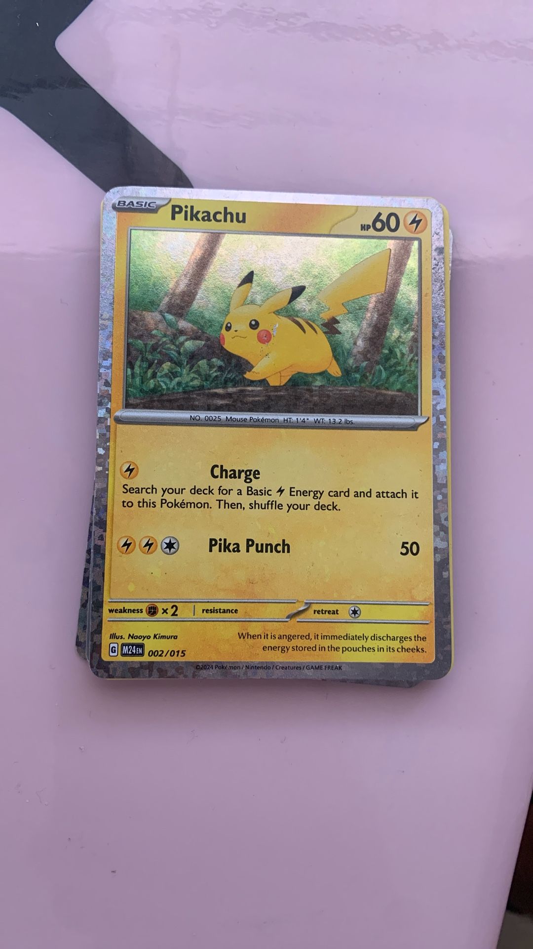 Pikachu - www.hospizverein-ansbach.de