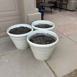 Large Falerno Planters 