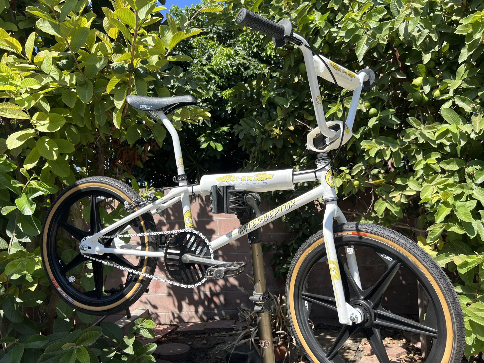 Old School Vintage BMX 1987 20” GT INTERCEPTOR/GT MAGS