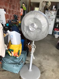 Fan