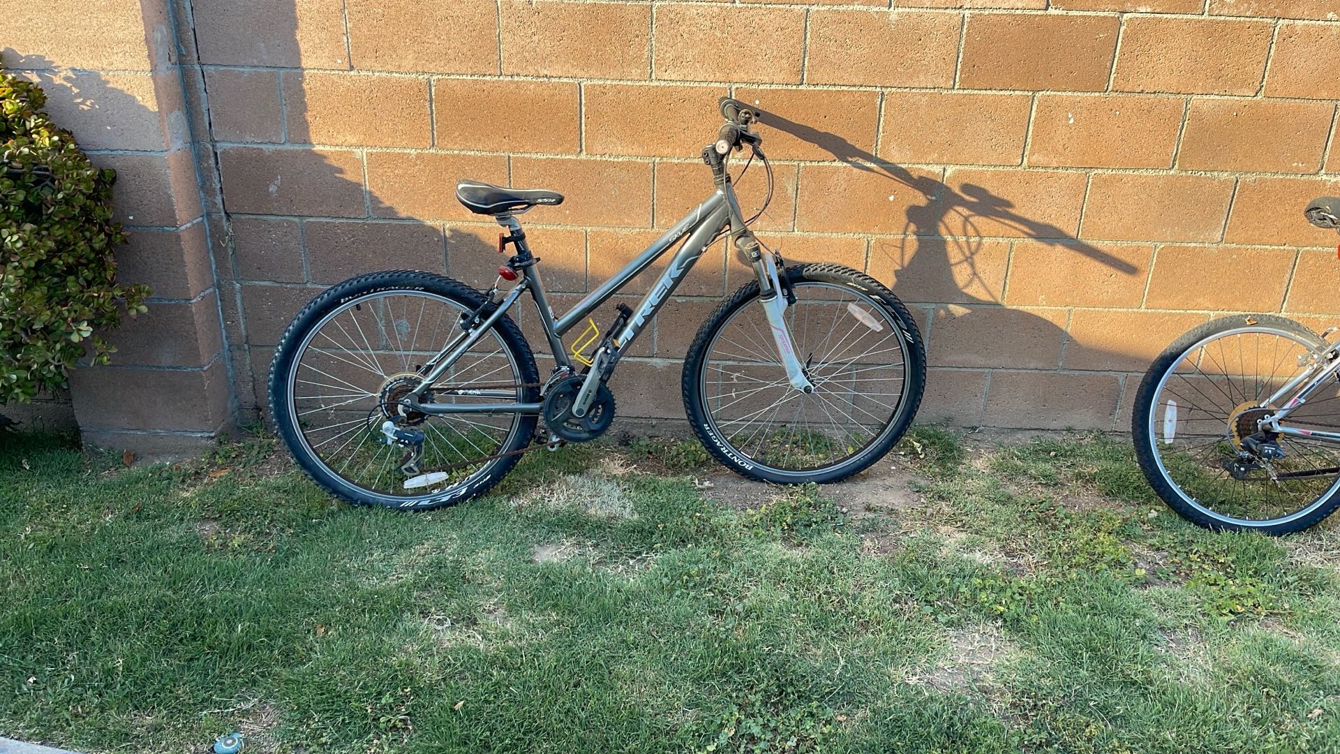 Trek Women’s Bike