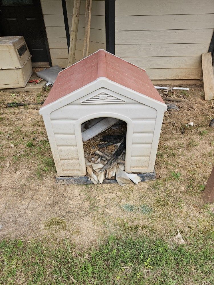 Dog House