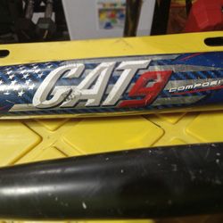 Baseball Bat