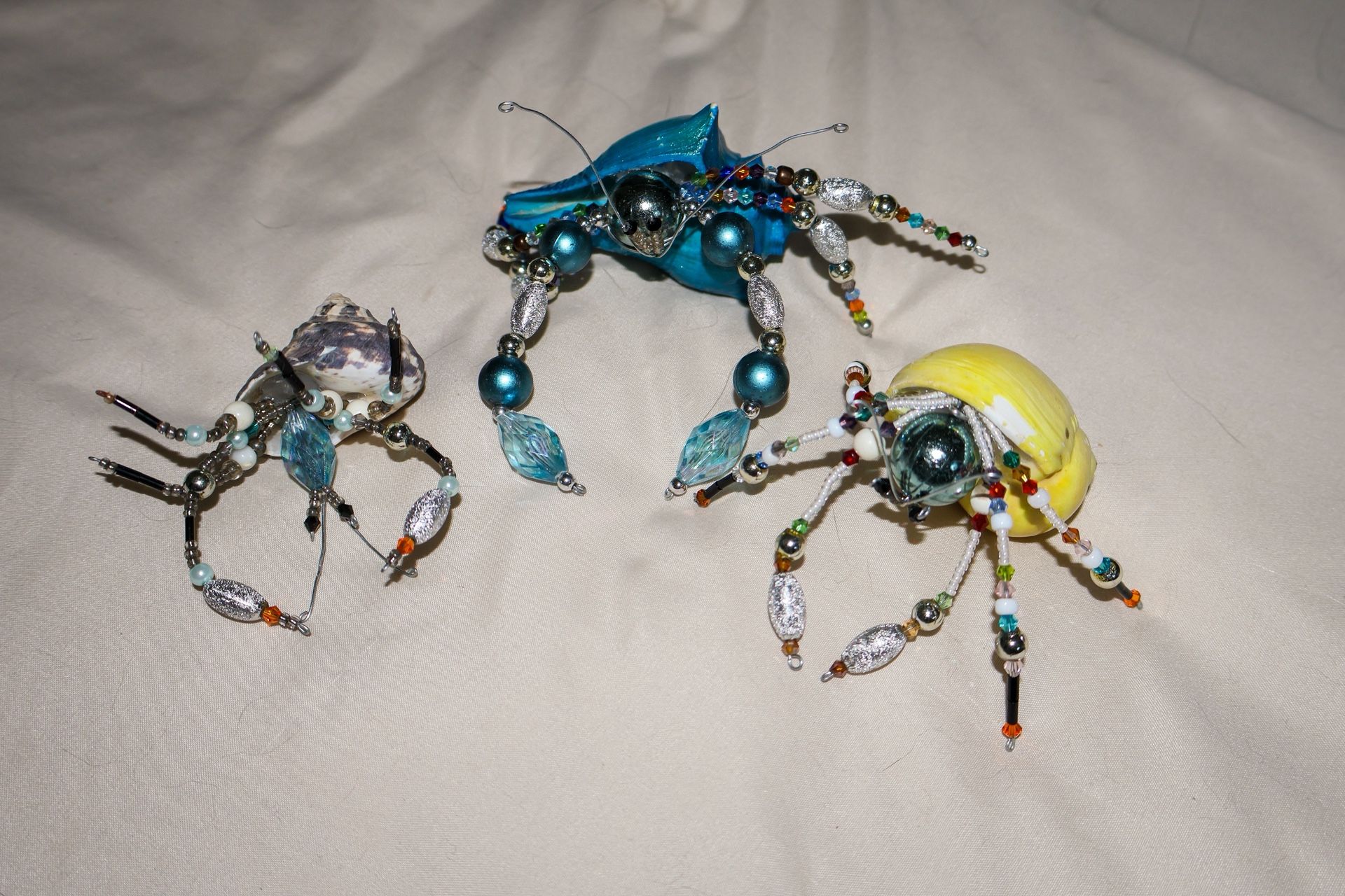Beaded Hermit crabs